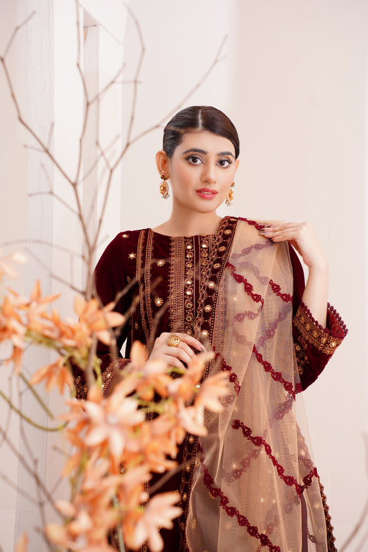 WInter Dhanak Collection 2K25